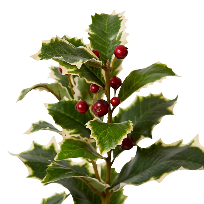 Holly Spray Pack of 12 - Red/Variegated, 74cm (H)
