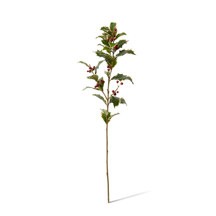 Holly Spray Pack of 12 - Red/Variegated, 74cm (H)