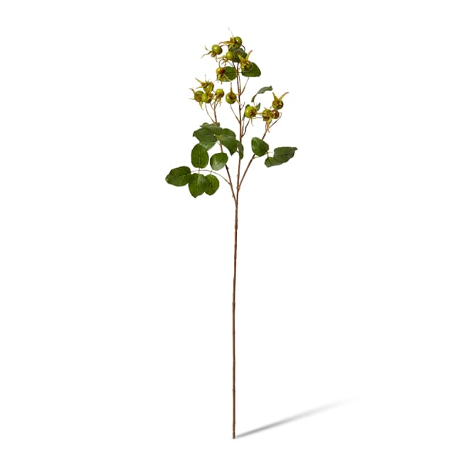 Rosehip Spray Pack Of 12 - Green, 86cm (H)