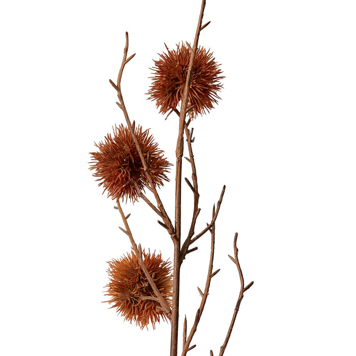 Spikey Chestnut Branch Pack of 12 - Brown, 106cm (H)