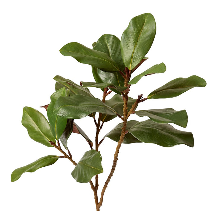 Magnolia Leaf Spray Pack of 12 - Green, 105cm (H)