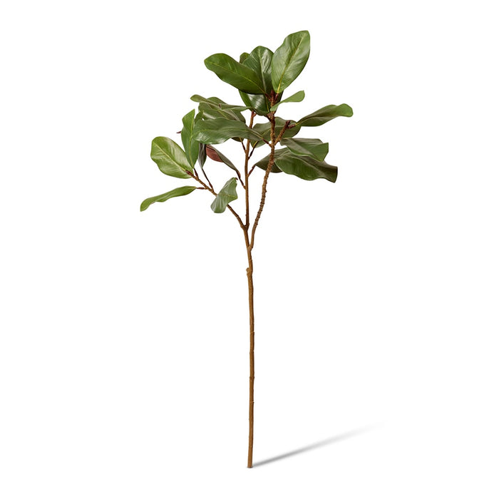 Magnolia Leaf Spray Pack of 12 - Green, 105cm (H)