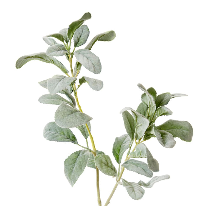 Lambs Ear Leaf Spray Pack of 12 - Grey/Green, 72cm (H)