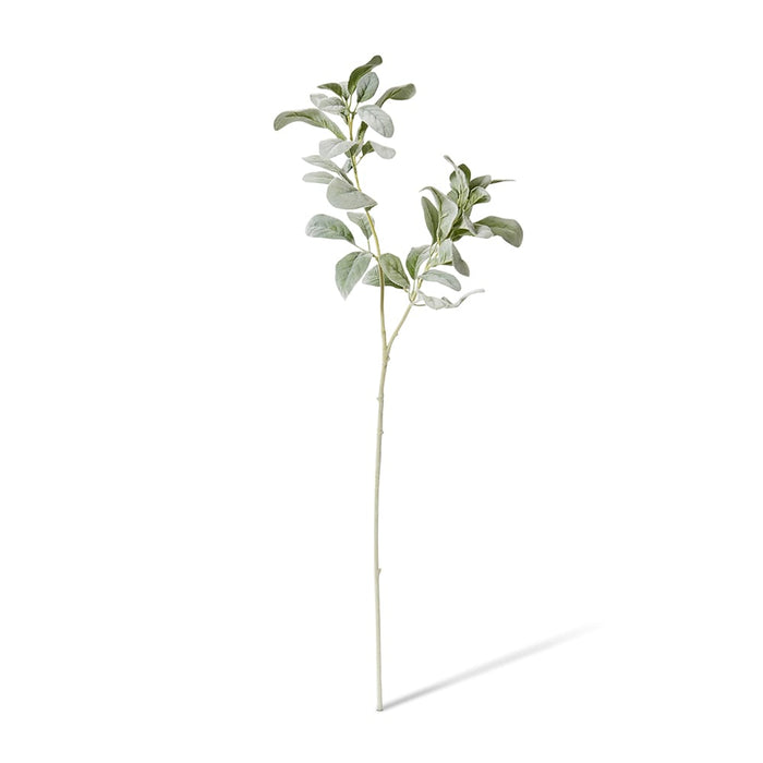 Lambs Ear Leaf Spray Pack of 12 - Grey/Green, 72cm (H)