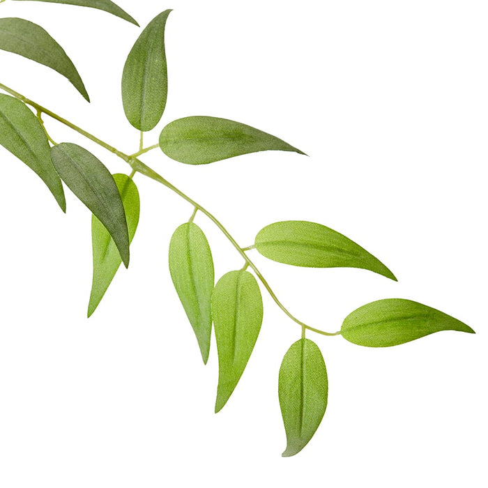 Ruscus Italian Leaf Spray Pack of 12 - Green, 124cm (H)
