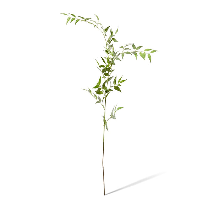 Ruscus Italian Leaf Spray Pack of 12 - Green, 124cm (H)
