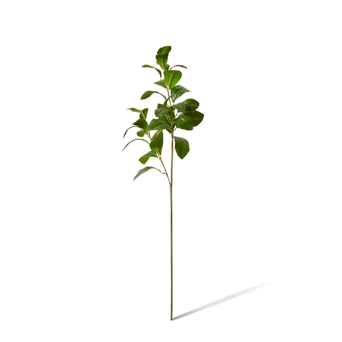 Garden Leaf Spray Pack of 12 - Green, 88cm (H)