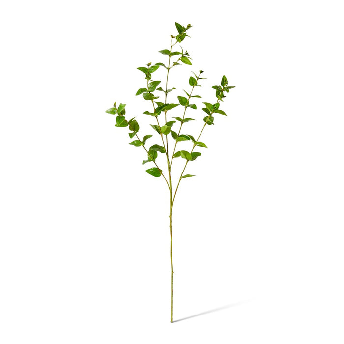 Hoya Leaf Spray Pack of 12 - Green, 84cm (H)