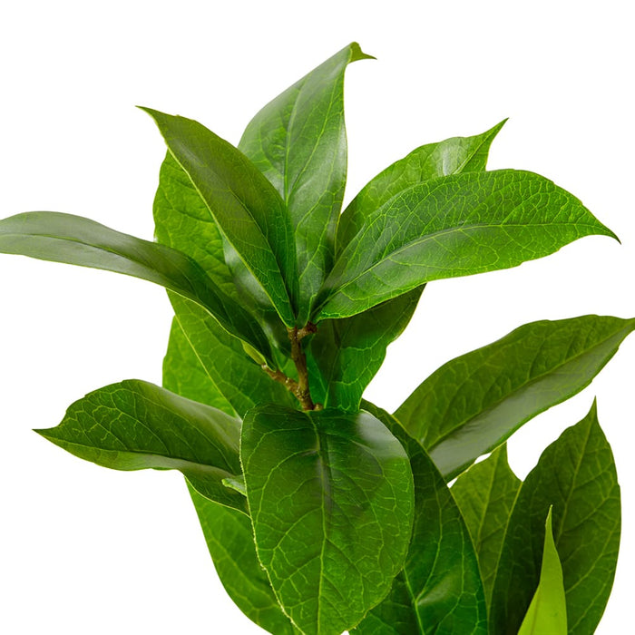 Island Leaf Spray Pack of 12 - Green, 77cm (H)