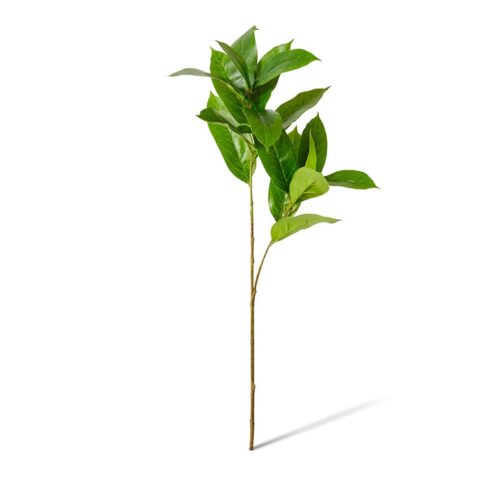 Island Leaf Spray Pack of 12 - Green, 77cm (H)