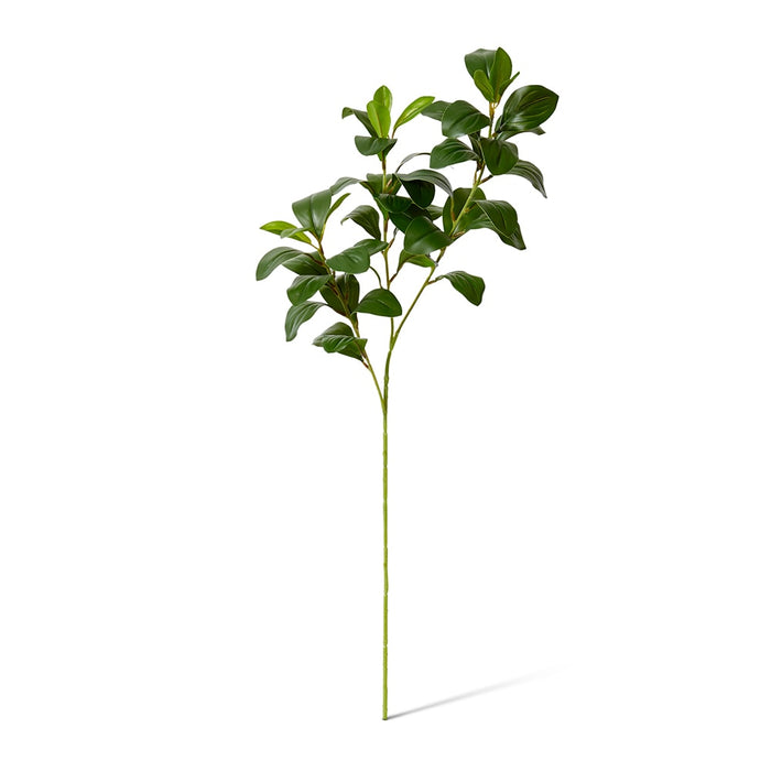 Lush Small Leaf Spray Pack of 12 - Green, 75cm (H)