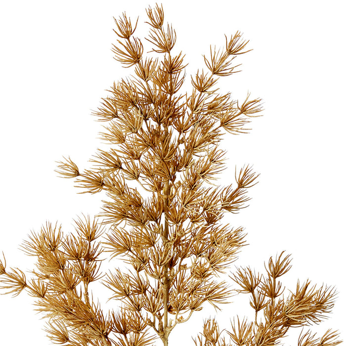 Asparagus Leaf Spray Pack of 12 - Beige, 74cm (H)
