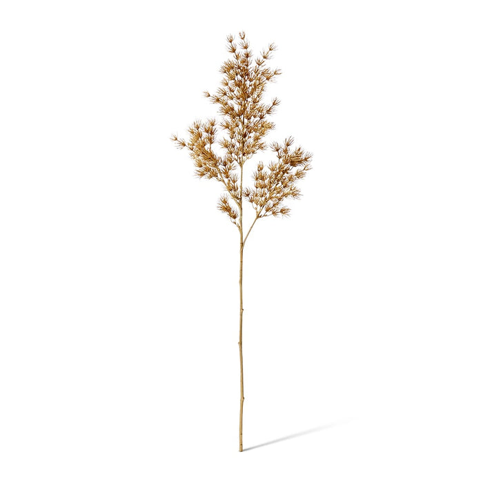 Asparagus Leaf Spray Pack of 12 - Beige, 74cm (H)