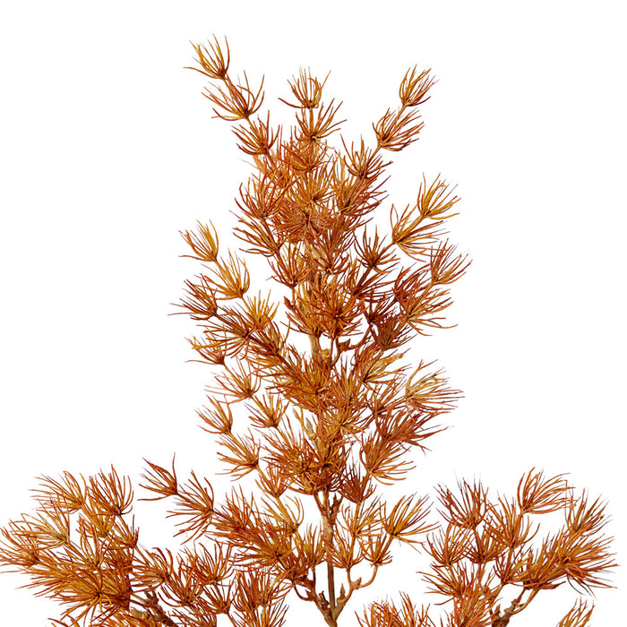 Asparagus Leaf Spray Pack of 12 - Rust, 74cm (H)
