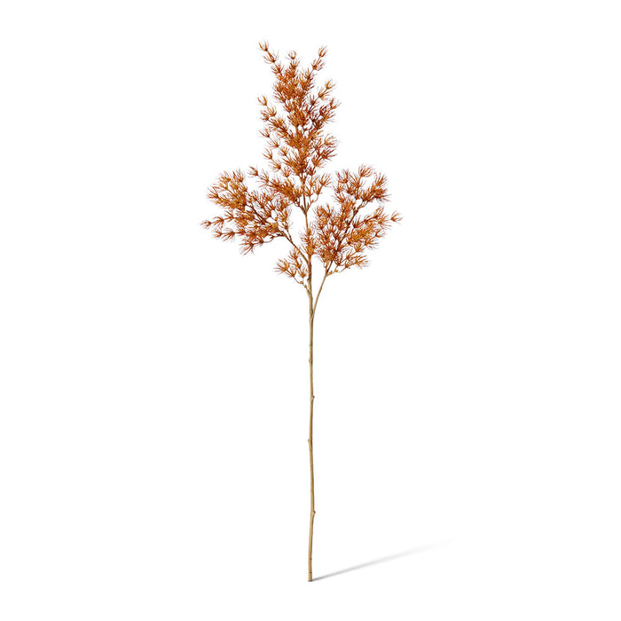 Asparagus Leaf Spray Pack of 12 - Rust, 74cm (H)