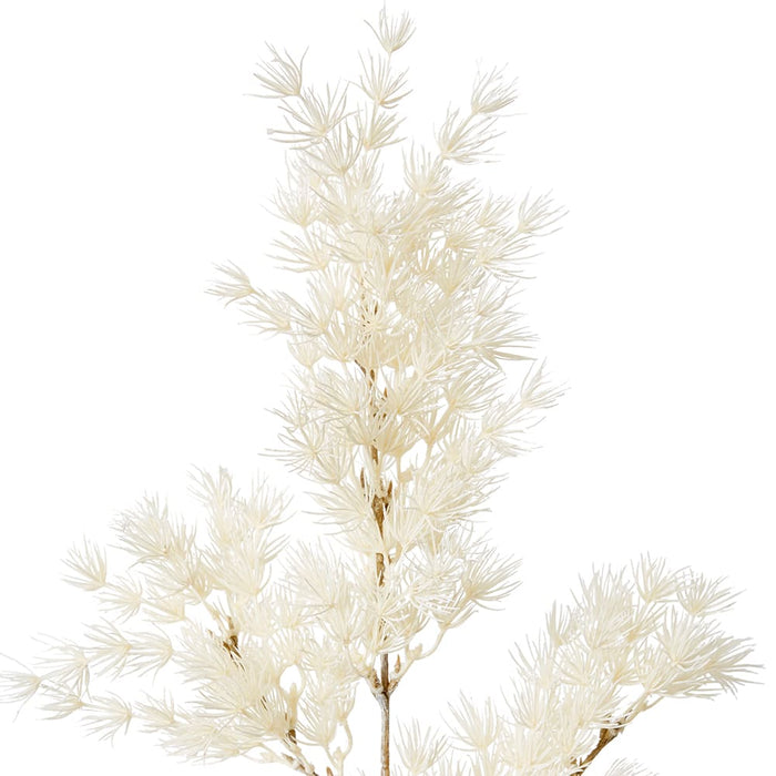 Asparagus Leaf Spray Pack of 12 - White, 74cm (H)