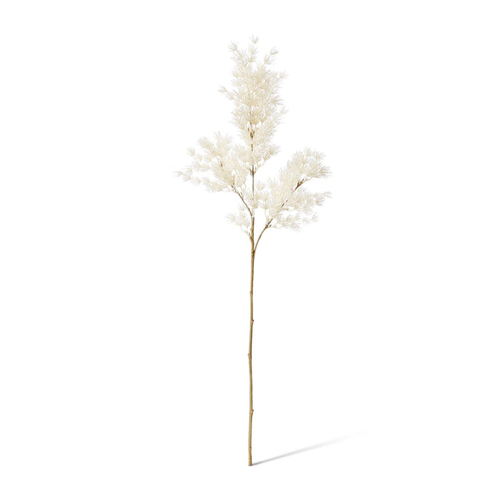 Asparagus Leaf Spray Pack of 12 - White, 74cm (H)
