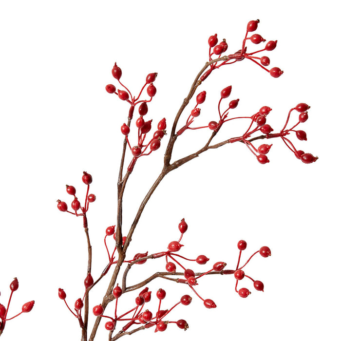 Rosehip Mini Spray Pack of 12 - Red, 99cm (H)