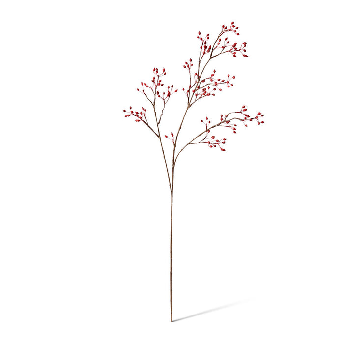 Rosehip Mini Spray Pack of 12 - Red, 99cm (H)