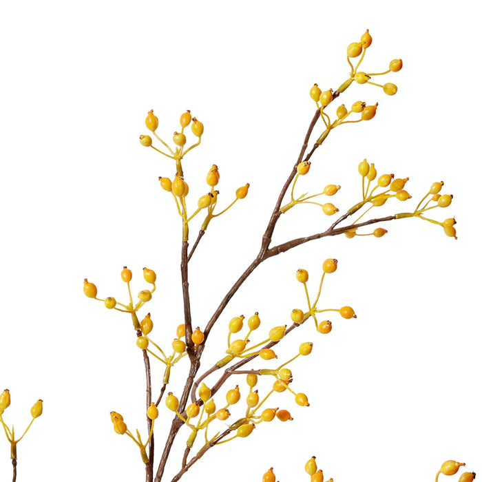 Rosehip Mini Spray Pack of 12 - Yellow, 99cm (H)