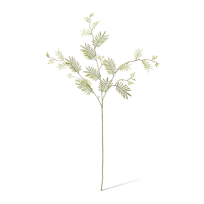Mismosa Leaf Spray Pack of 12 - Green, 104cm (H)