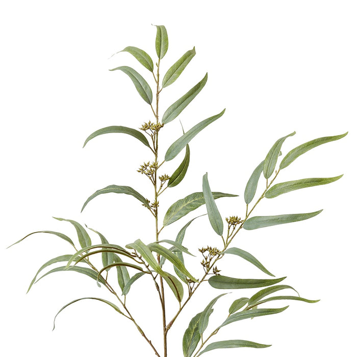 Eucalyptus Spray Pack of 12 - Grey Green, 117cm (H)