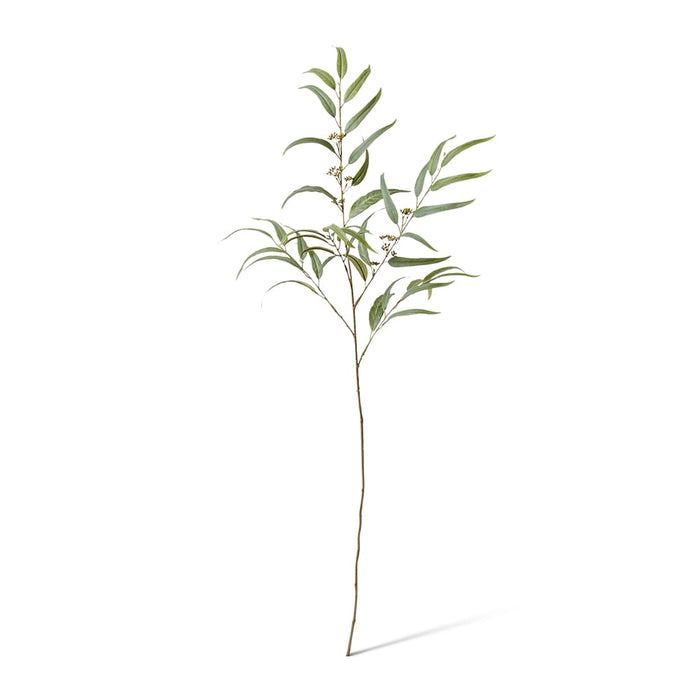 Eucalyptus Spray Pack of 12 - Grey Green, 117cm (H)