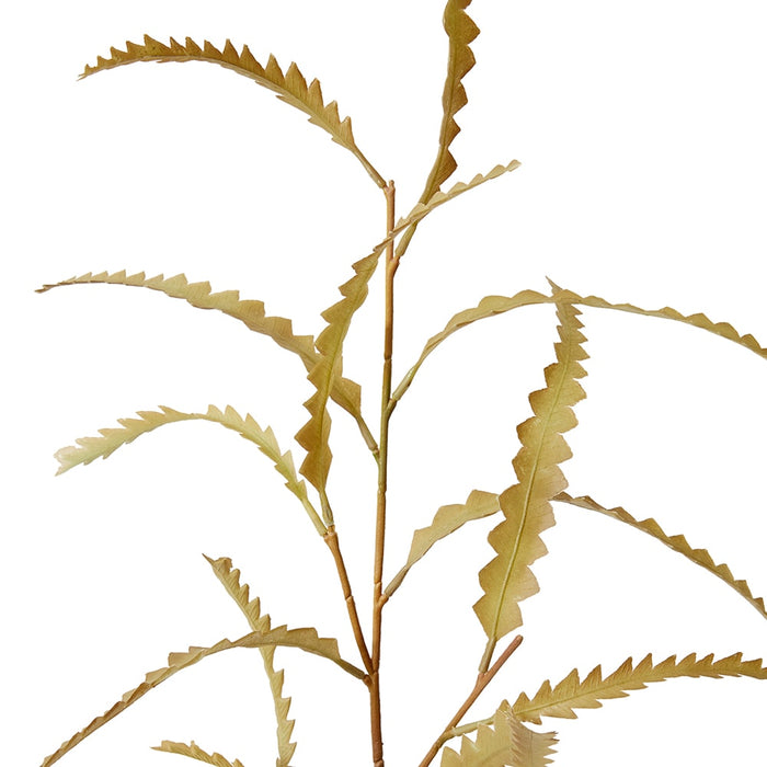 Banksia Leaf Spray Pack of 12 - Brown, 89cm (H)