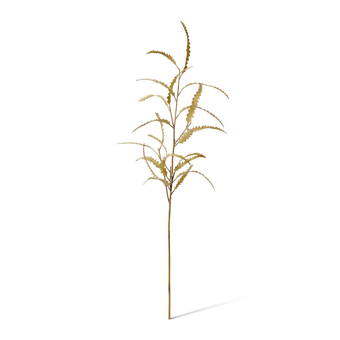 Banksia Leaf Spray Pack of 12 - Brown, 89cm (H)