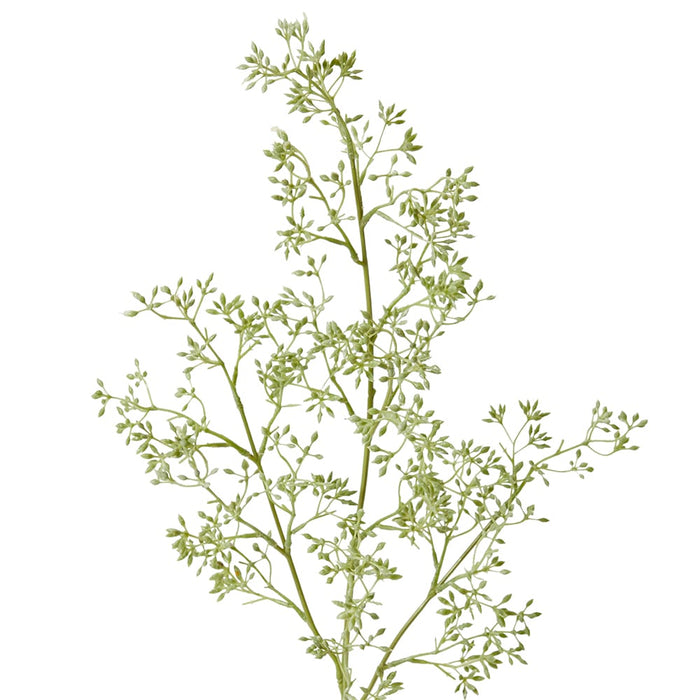 Eucalyptus Seeding Stem Pack of 12 - Green, 74cm (H)