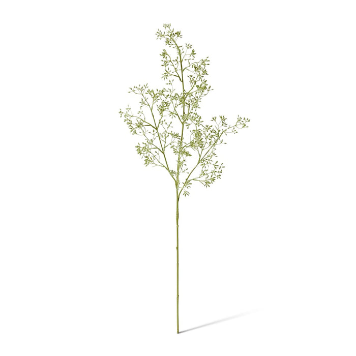 Eucalyptus Seeding Stem Pack of 12 - Green, 74cm (H)