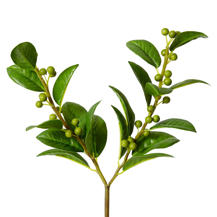 Berry Spray Pack of 12 - Green, 46cm (H)