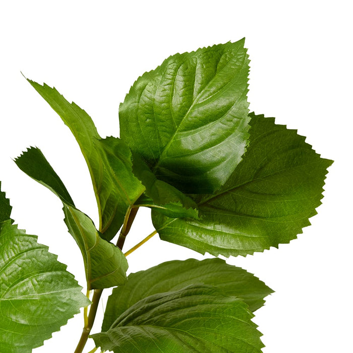 Hydrangea Leaf Spray Pack of 12 - Green, 84cm (H)