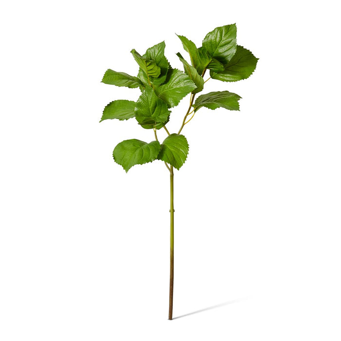 Hydrangea Leaf Spray Pack of 12 - Green, 84cm (H)