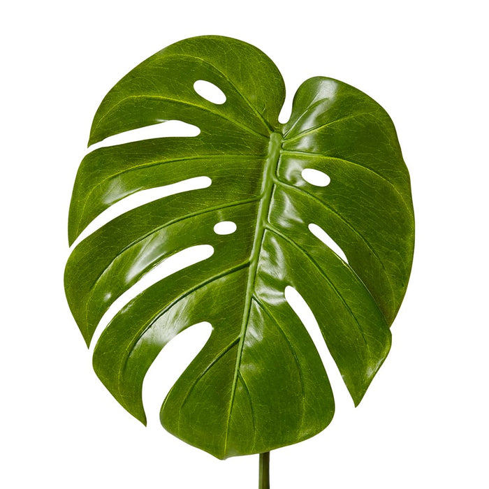 Monstera Leaf Pack of 12 - Green, 60cm (H)
