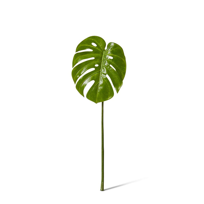 Monstera Leaf Pack of 12 - Green, 60cm (H)
