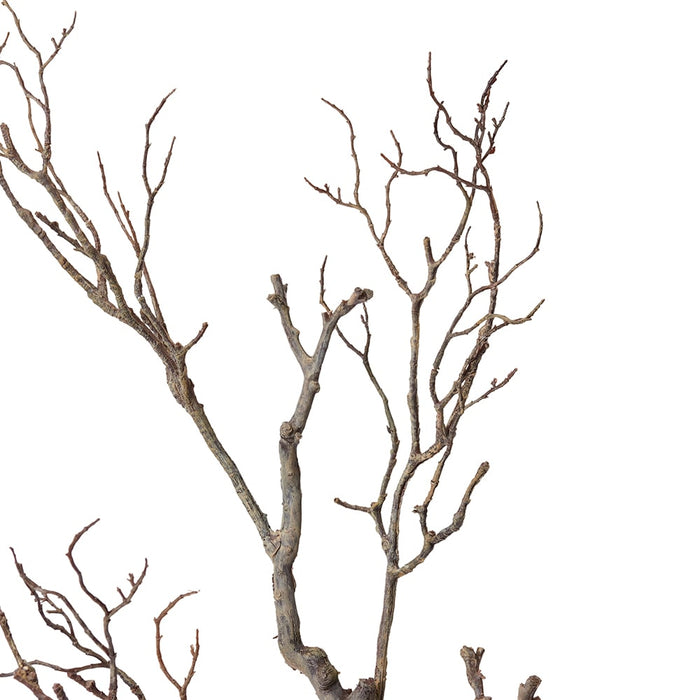 Deadwood Branch Pack of 6 - Brown, 100cm (H)