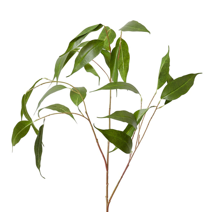 Eucalyptus Leaf Spray Pack of 6 - Green, 91cm (H)