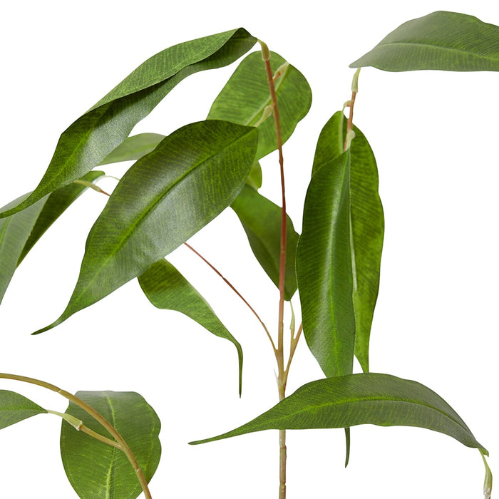 Eucalyptus Leaf Spray Pack of 6 - Green, 91cm (H)