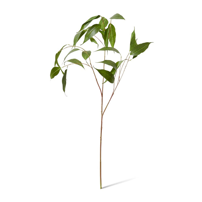 Eucalyptus Leaf Spray Pack of 6 - Green, 91cm (H)