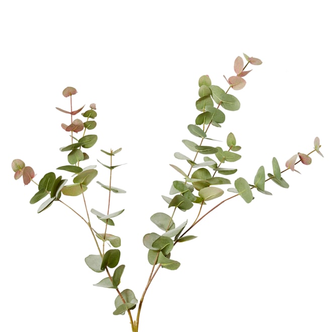 Eucalyptus Leaf Spray Pack Of 12 - Pink/Green, 102cm (H)