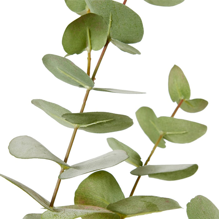 Eucalyptus Leaf Spray Pack Of 12 - Pink/Green, 102cm (H)