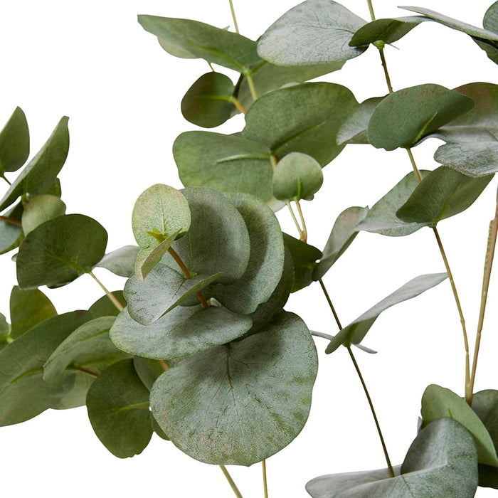 Eucalyptus Leaf Spray Pack of 6 - Green, 119cm (H)