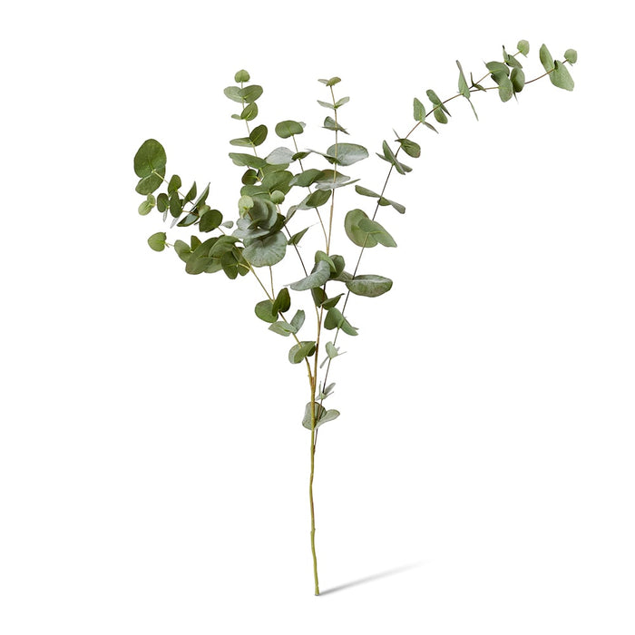 Eucalyptus Leaf Spray Pack of 6 - Green, 119cm (H)