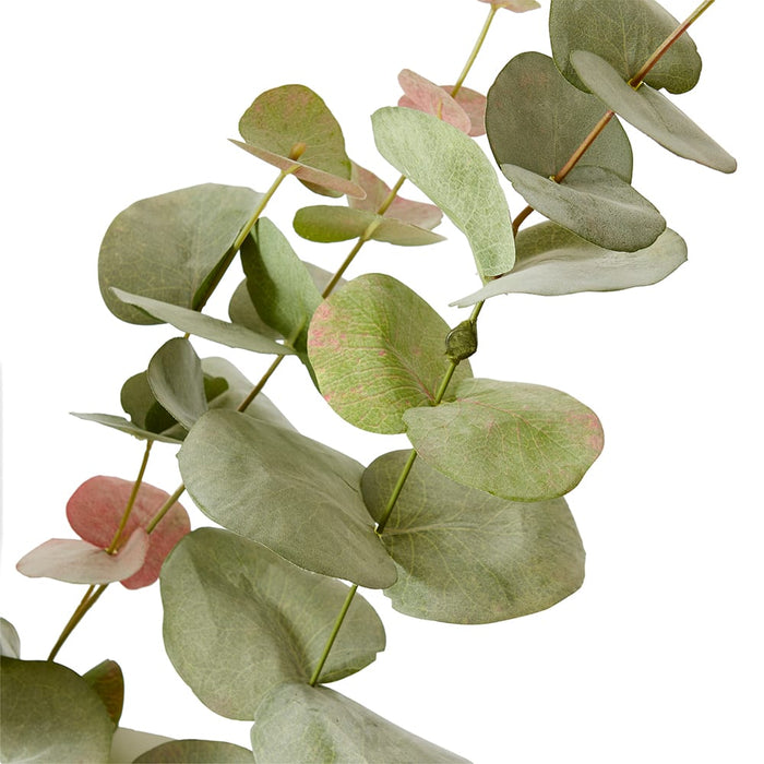 Eucalyptus Leaf Spray Pack Of 6 - Pink/Green, 119cm (H)