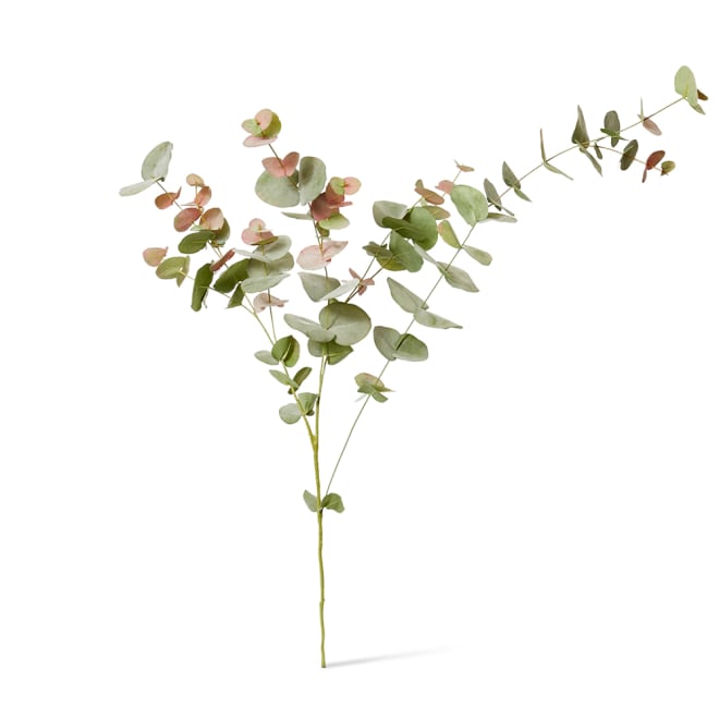 Eucalyptus Leaf Spray Pack Of 6 - Pink/Green, 119cm (H)