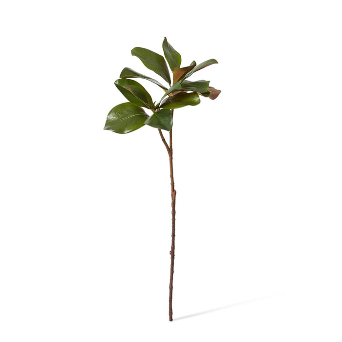Magnolia Classic Leaf Spray Pack of 12 - Green, 78cm (H)