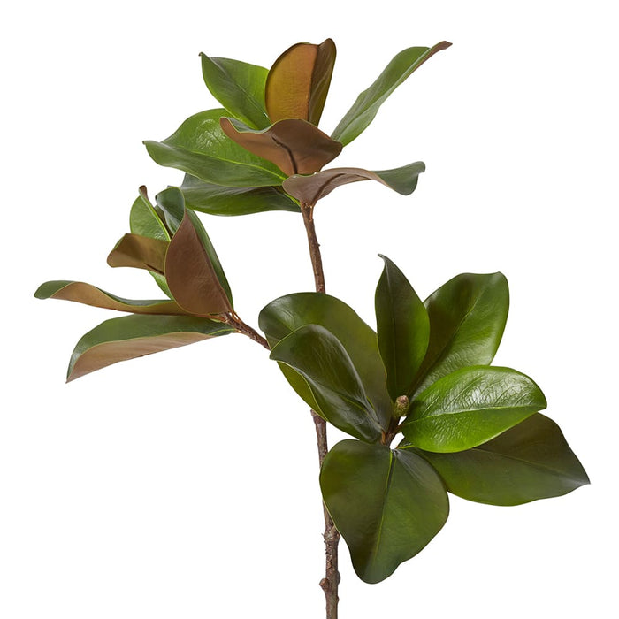 Magnolia Classic Leaf Spray Pack of 12 - Green, 89cm (H)