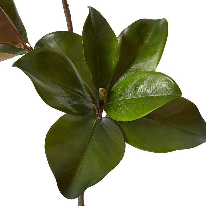 Magnolia Classic Leaf Spray Pack of 12 - Green, 89cm (H)