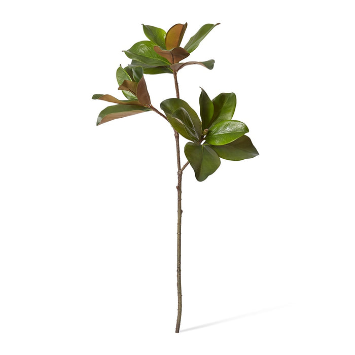Magnolia Classic Leaf Spray Pack of 12 - Green, 89cm (H)